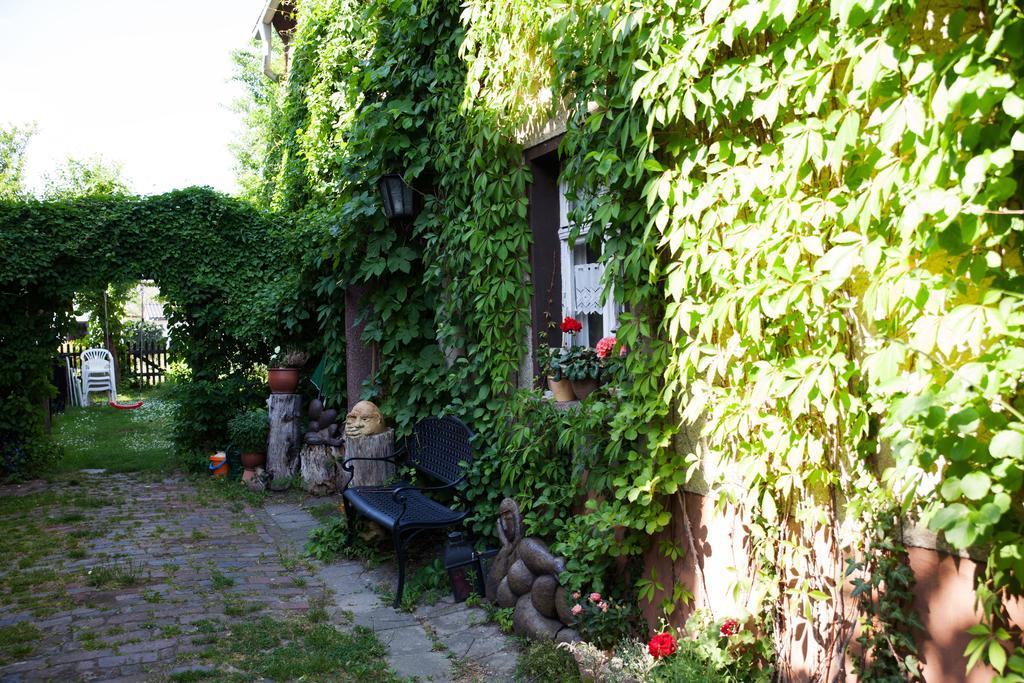 Pension Altstadt Borna Zewnętrze zdjęcie