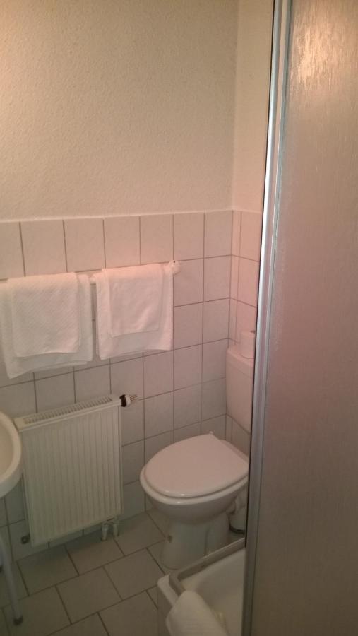 Pension Altstadt Borna Zewnętrze zdjęcie
